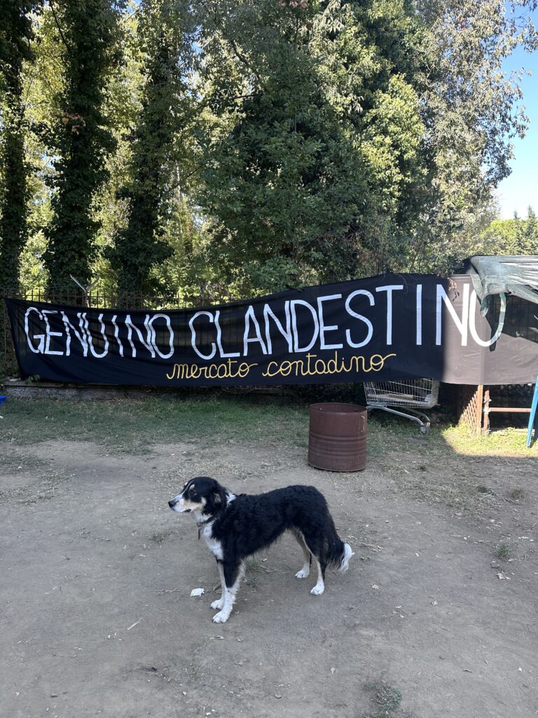 L’orto fuori porta: l’esperienza con Genuino Clandestino